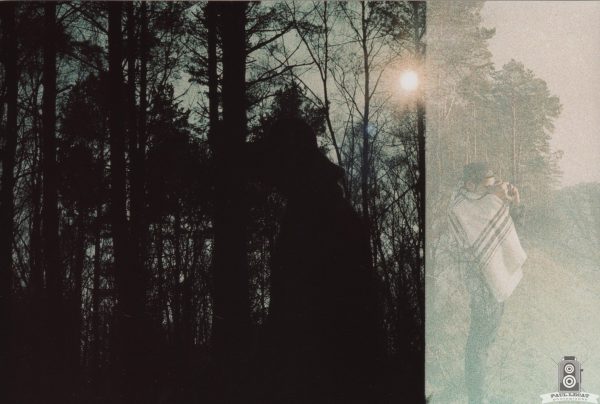 German Forest – analog color experimental photography